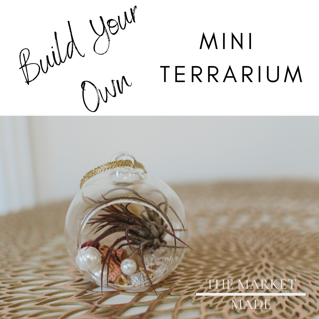 DIY Mini Air Plant Terrarium Kit: Build Your Own Mini Glass Ornament Decor