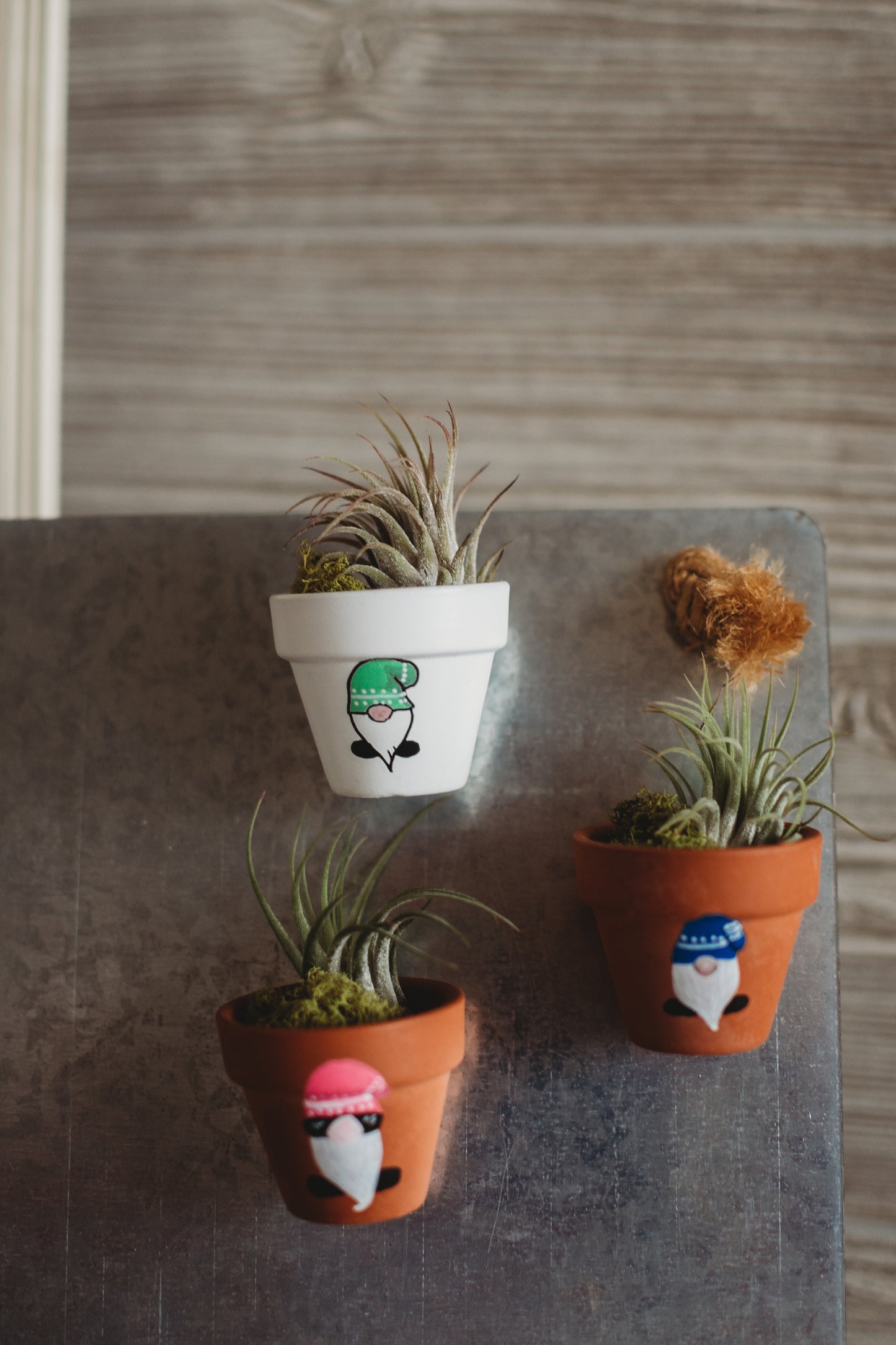 Hand-Painted Gnome Mini Pot Magnets | Mini Air Plant Magnets | Gnome Refrigerator Magnets