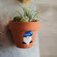 Hand-Painted Gnome Mini Pot Magnets | Mini Air Plant Magnets | Gnome Refrigerator Magnets