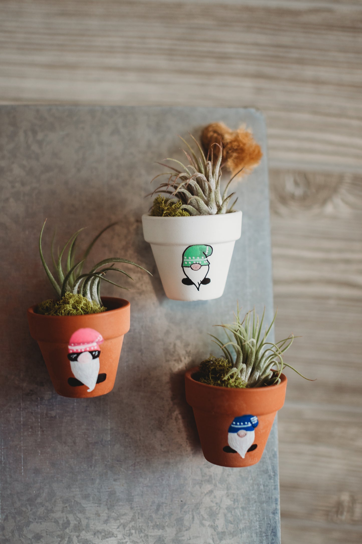 Hand-Painted Gnome Mini Pot Magnets | Mini Air Plant Magnets | Gnome Refrigerator Magnets