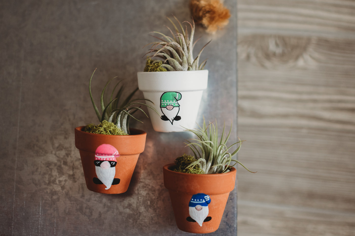 Hand-Painted Gnome Mini Pot Magnets | Mini Air Plant Magnets | Gnome Refrigerator Magnets