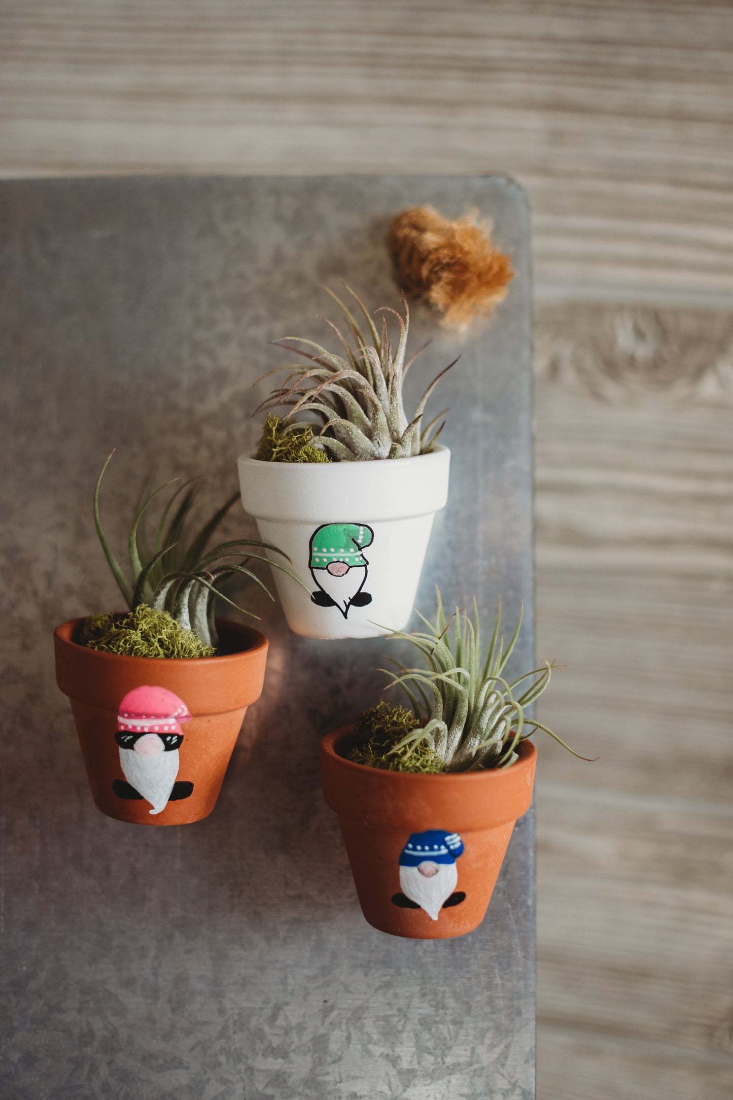 Hand-Painted Gnome Mini Pot Magnets | Mini Air Plant Magnets | Gnome Refrigerator Magnets