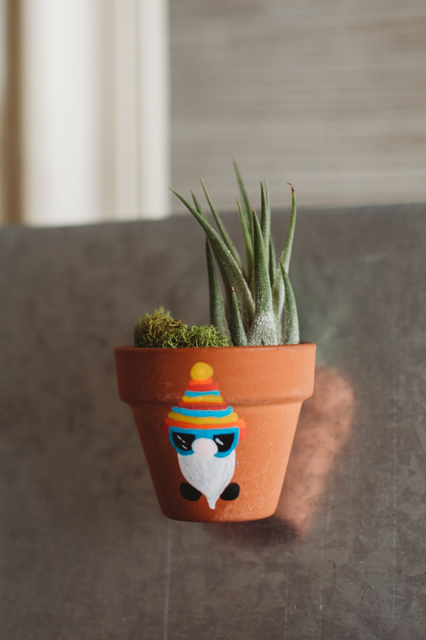 Hand-Painted Gnome Mini Pot Magnets | Mini Air Plant Magnets | Gnome Refrigerator Magnets