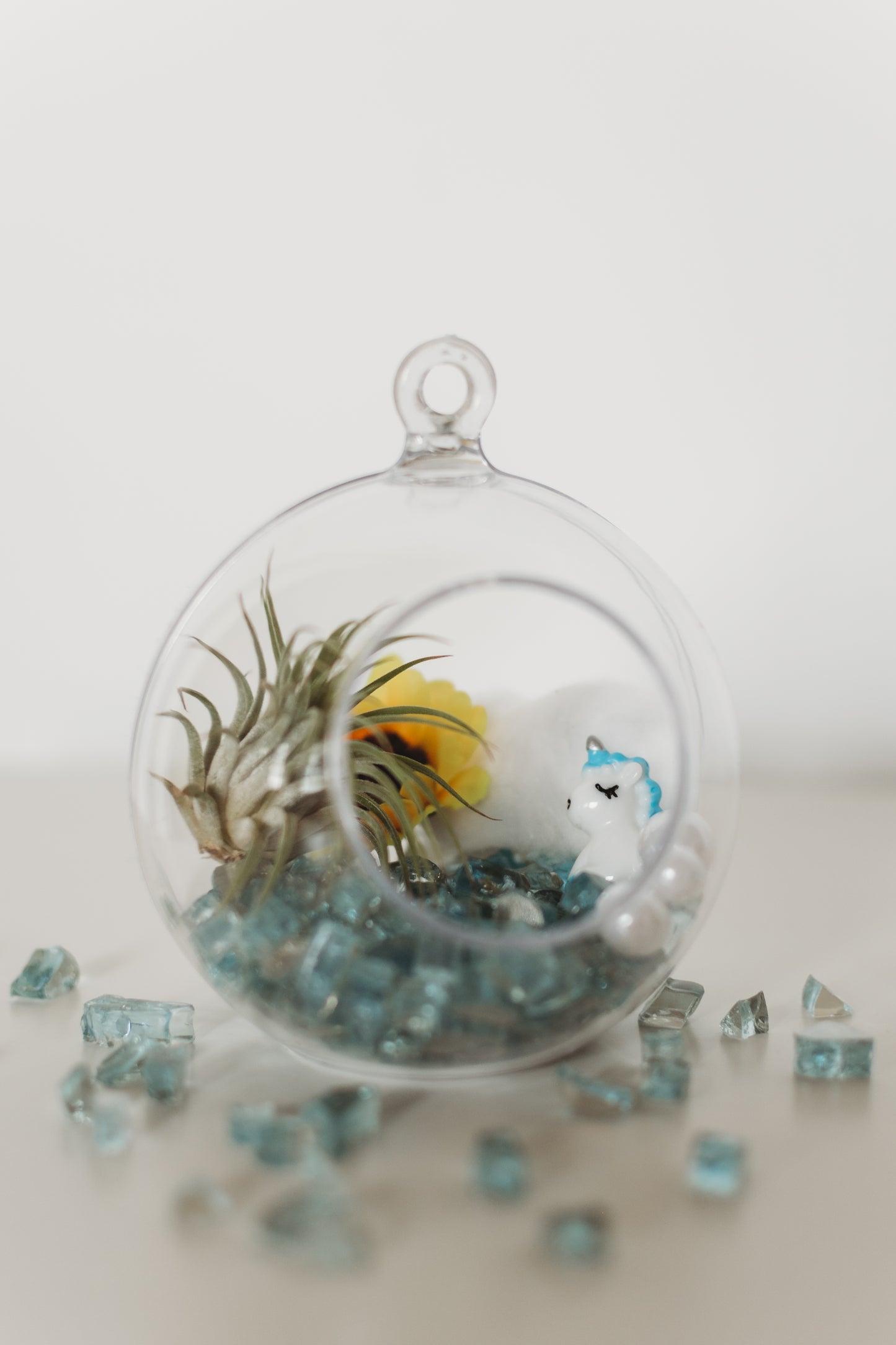 DIY Gender Reveal Air Plant Terrarium Kit: Build Your Own Baby Shower Decor