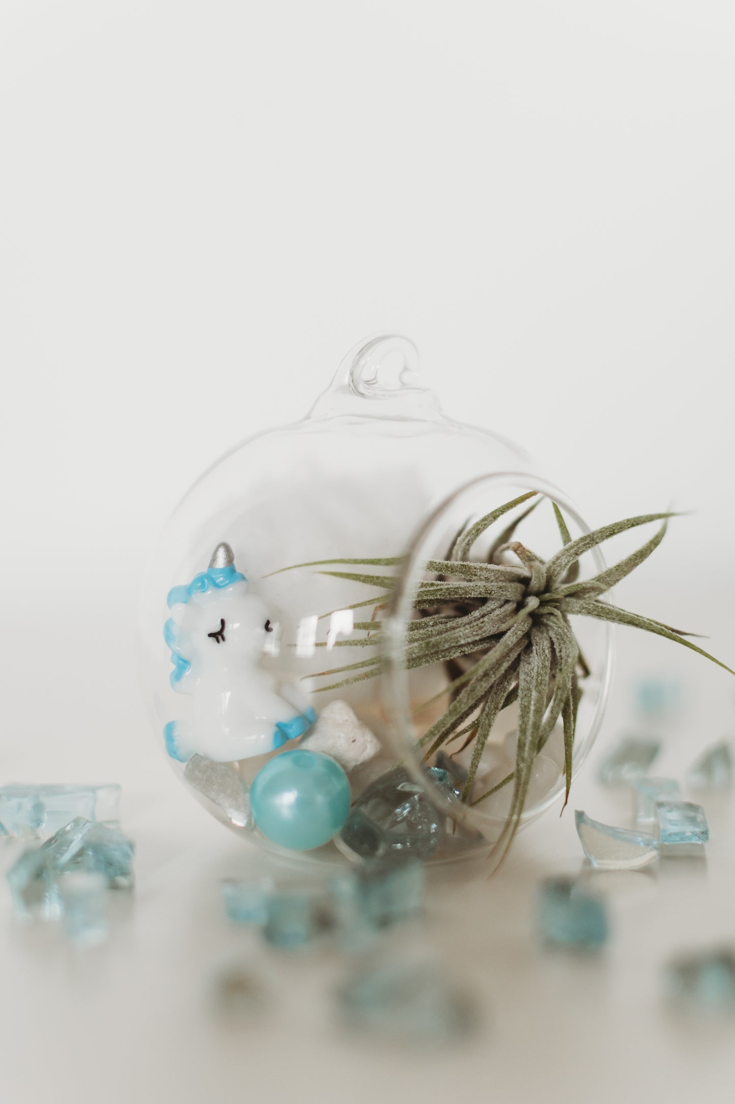 DIY Gender Reveal Air Plant Terrarium Kit: Build Your Own Baby Shower Decor