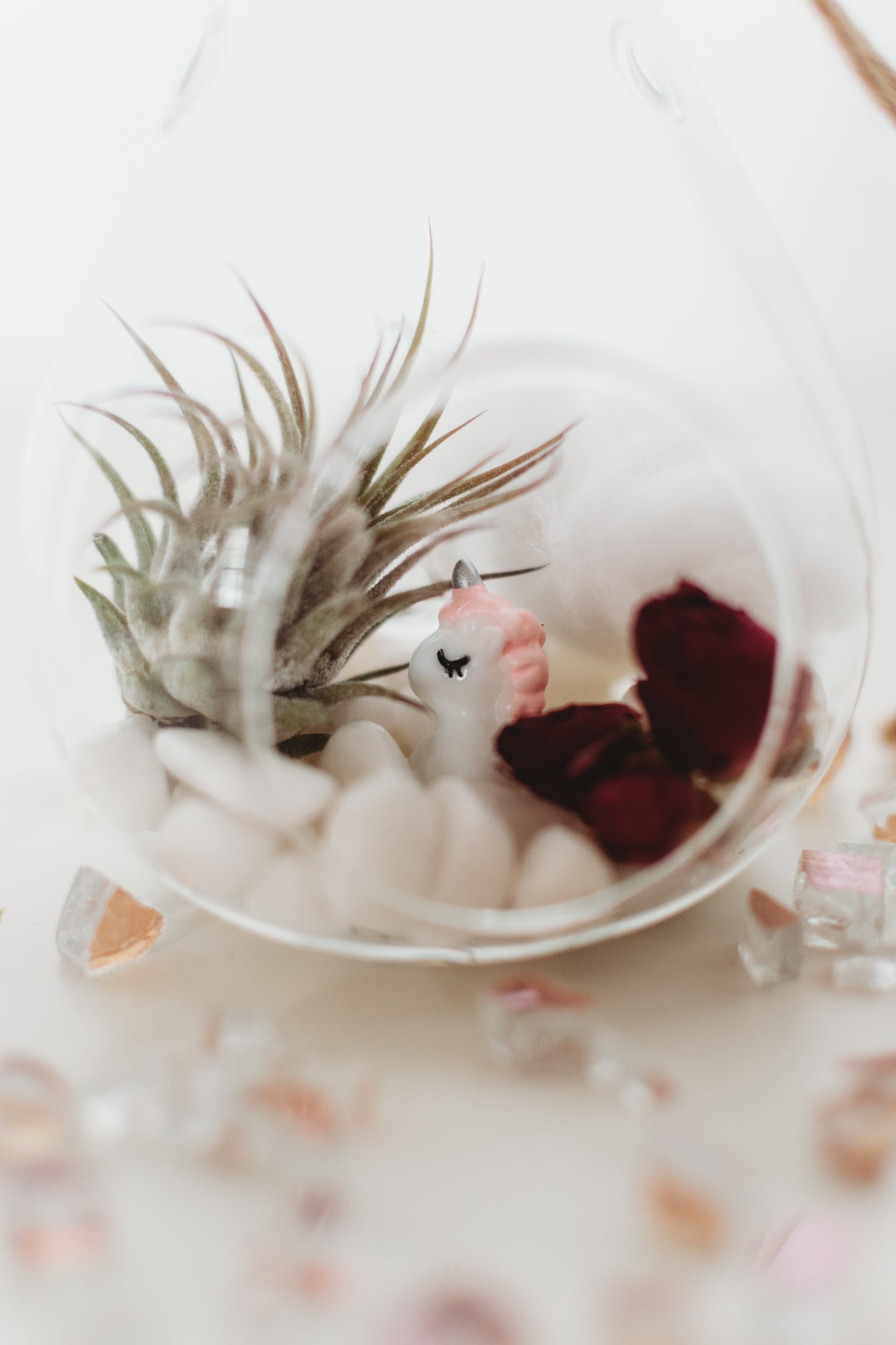DIY Gender Reveal Air Plant Terrarium Kit: Build Your Own Baby Shower Decor