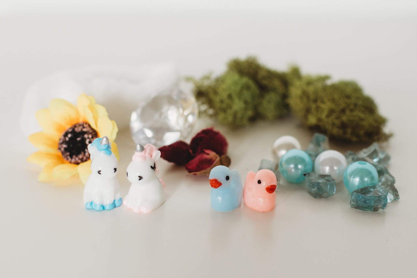 DIY Gender Reveal Air Plant Terrarium Kit: Build Your Own Baby Shower Decor