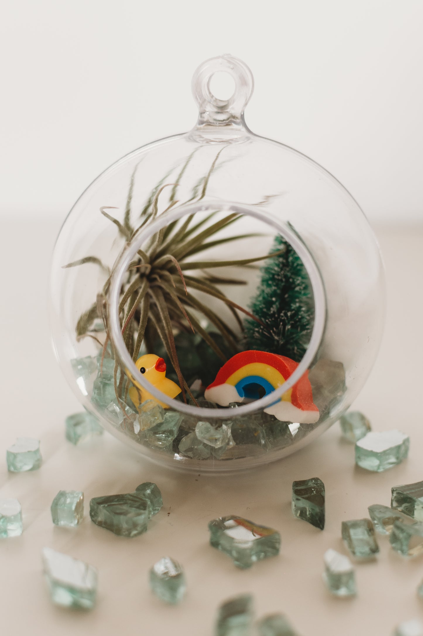 DIY Gender Reveal Air Plant Terrarium Kit: Build Your Own Baby Shower Decor