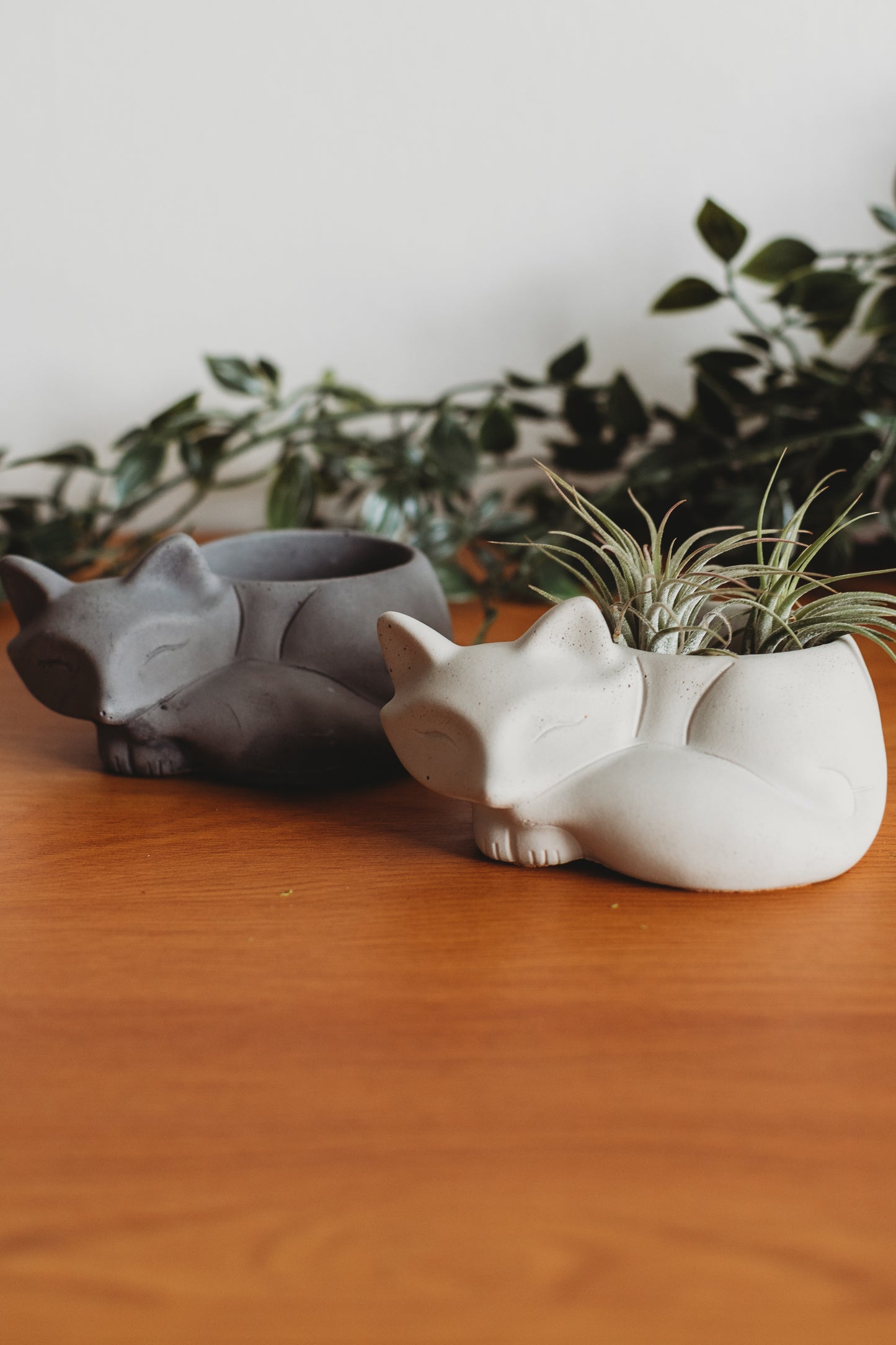 Handmade Sleeping Fox Concrete Planter: Desk Decor