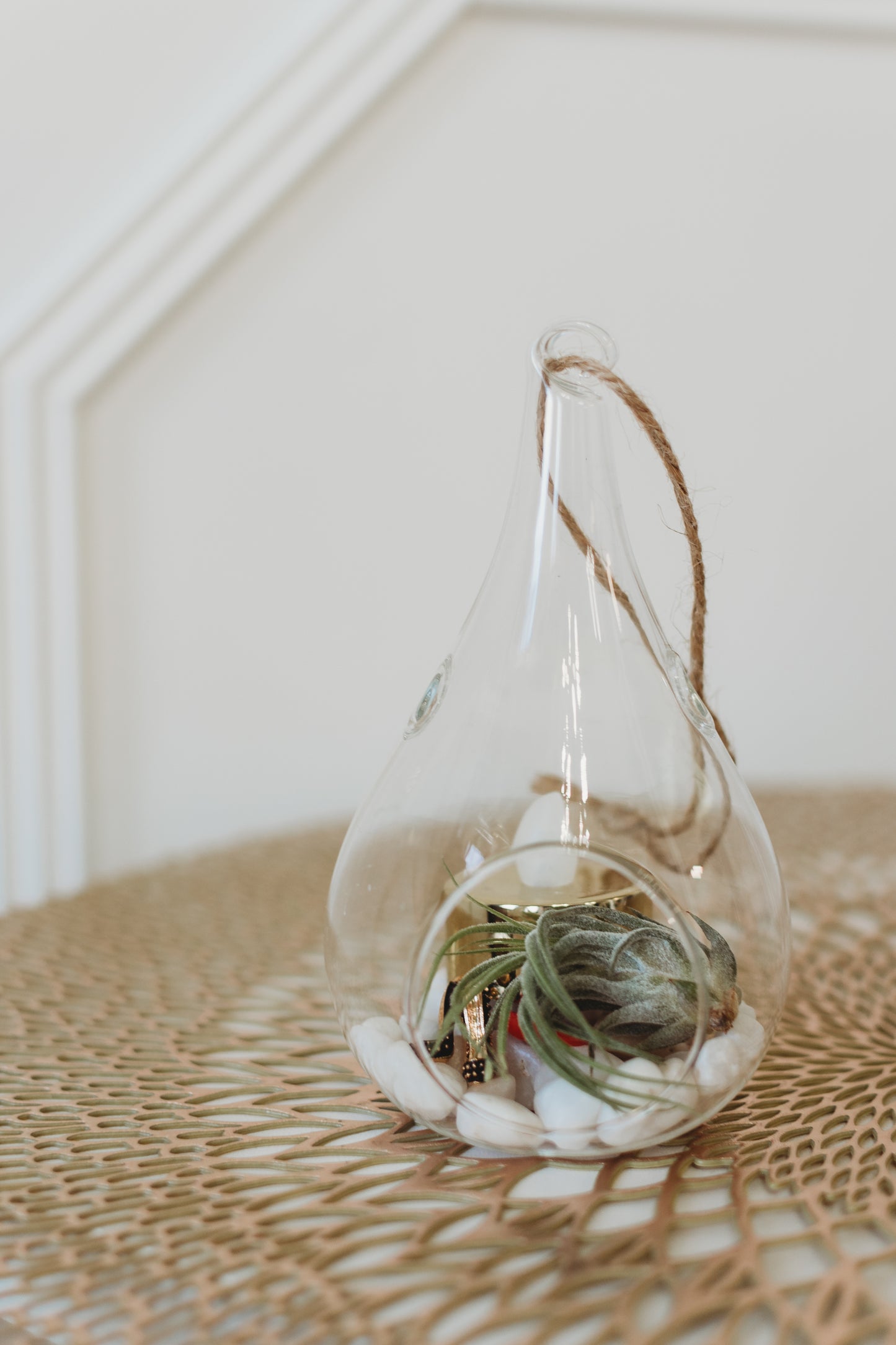 DIY Air Plant Terrarium Kit: Build Your Own Glass Teardrop Decor