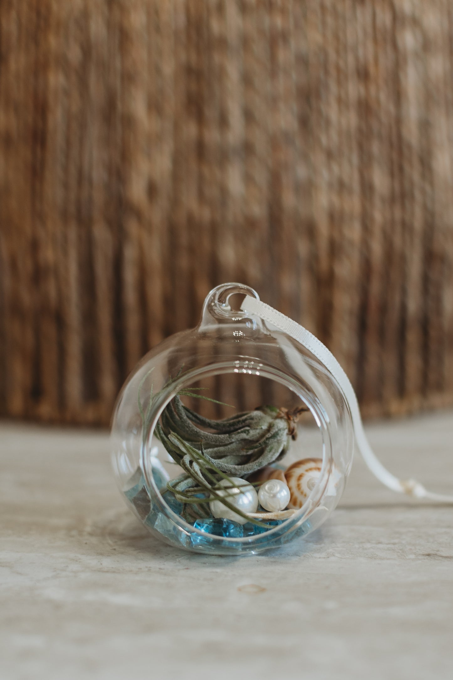 DIY Mini Air Plant Terrarium Kit: Build Your Own Mini Glass Ornament Decor