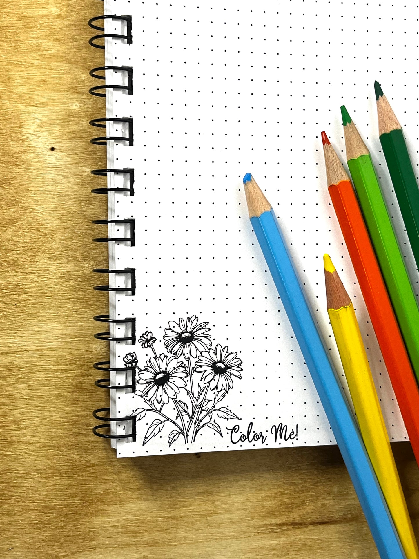 The "What Page Was That On Again?" Journal | An Index Journal with Coloring Content