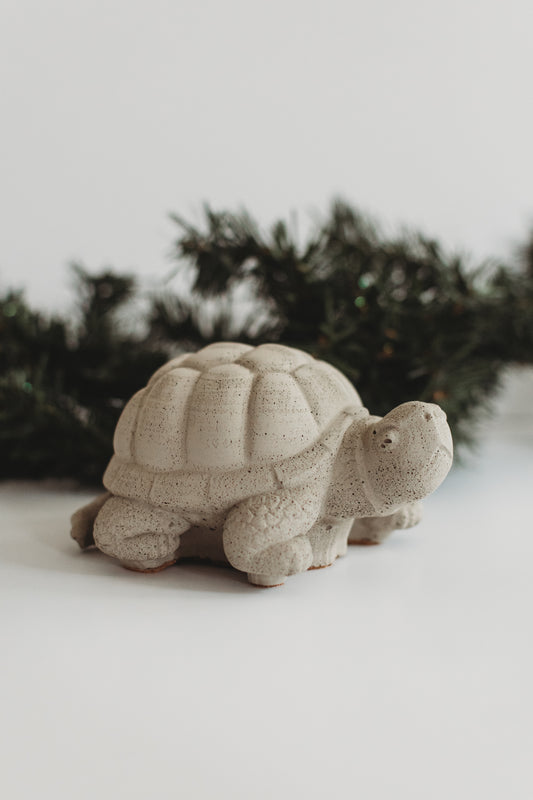 Jumbo Concrete Turtle | Paint Your Own Decor Kit | Paint Your Own Activity Set | Paint Your Own Handmade Concrete Gift Set