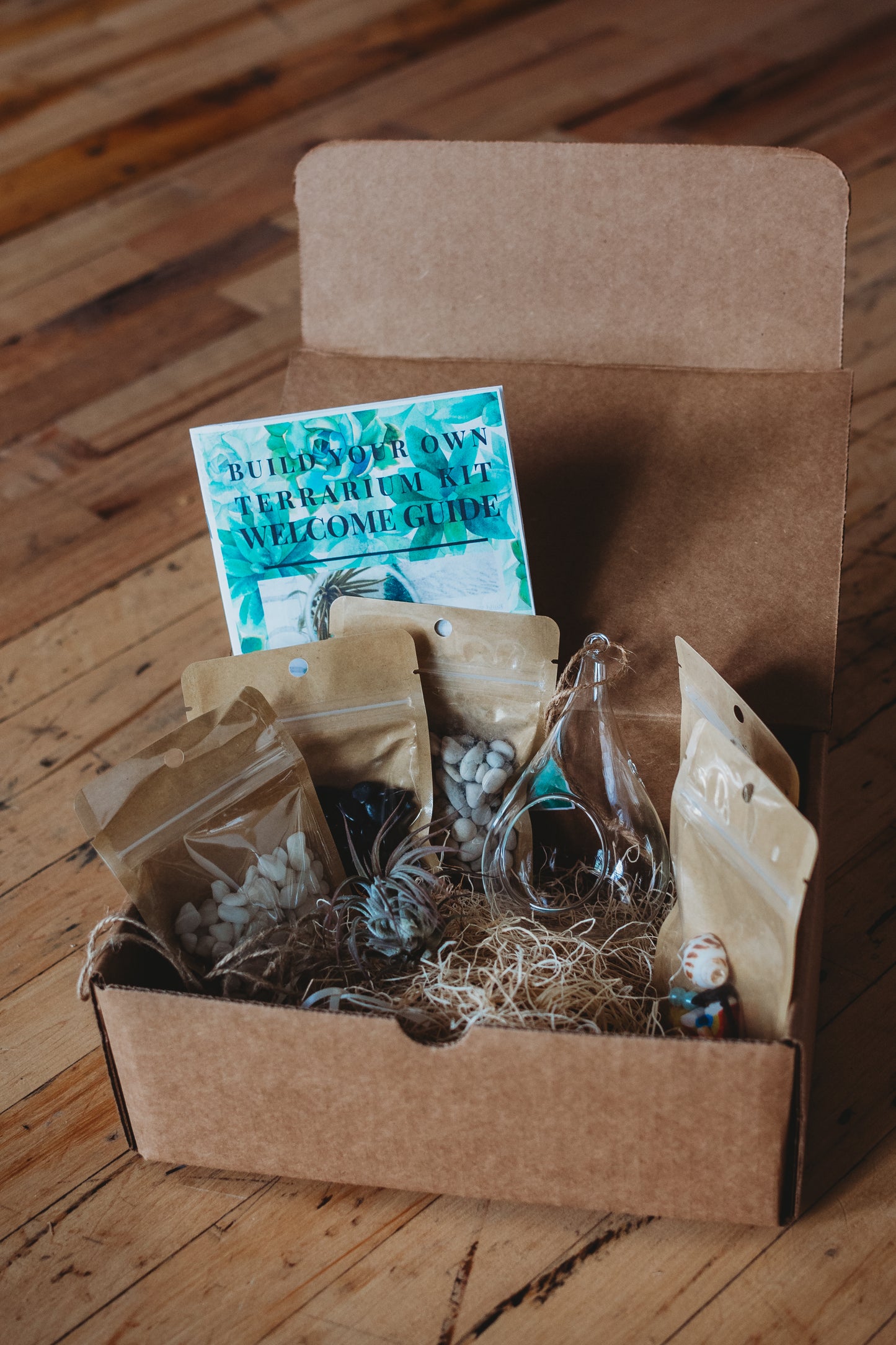 DIY Air Plant Terrarium Kit: Build Your Own Glass Teardrop Decor