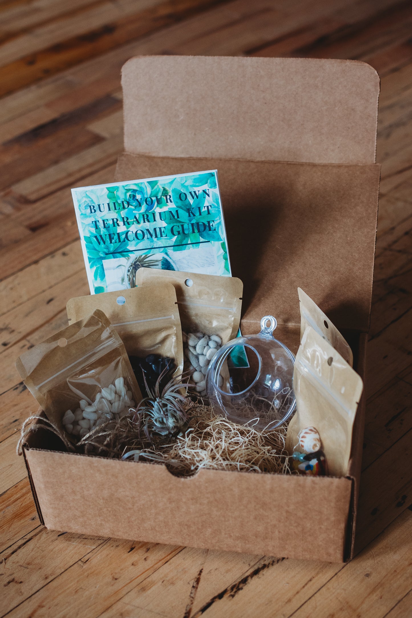 DIY Gender Reveal Air Plant Terrarium Kit: Build Your Own Baby Shower Decor