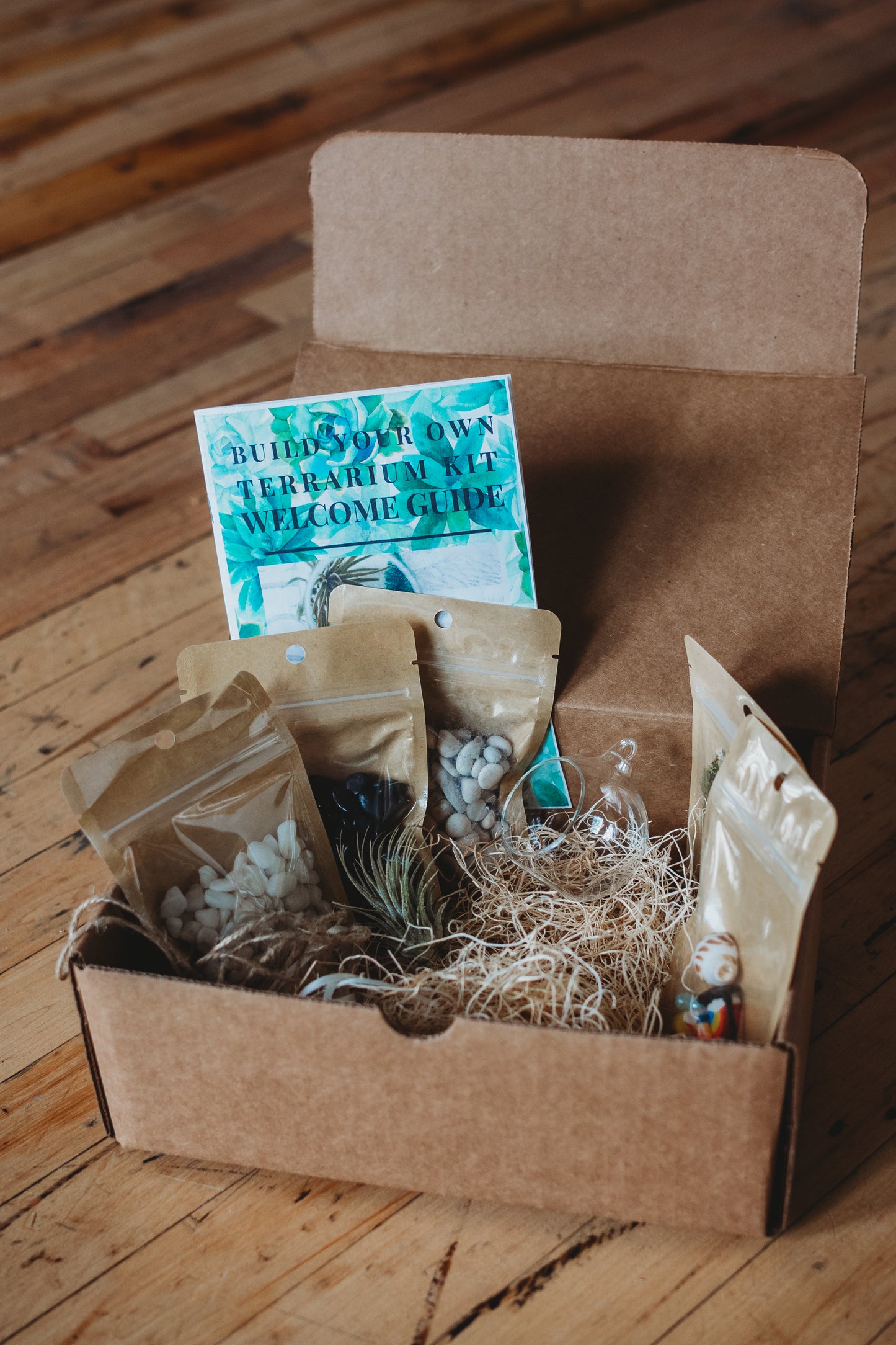 DIY Mini Air Plant Terrarium Kit: Build Your Own Mini Glass Ornament Decor