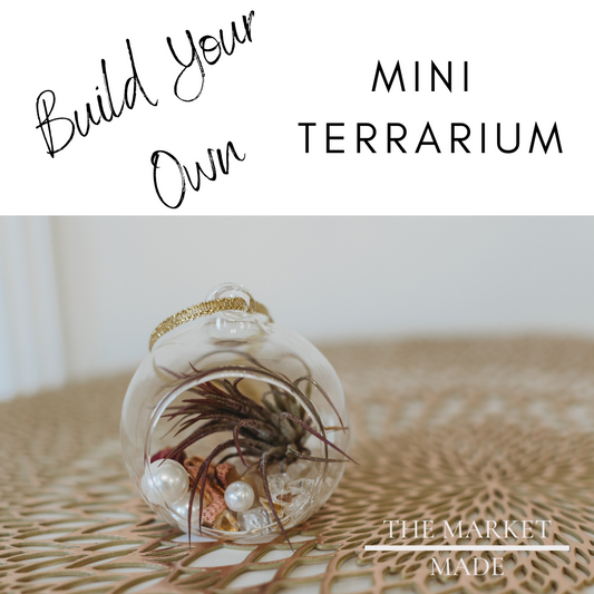 Mini Build Your Own Terrarium Kit | Do It Yourself Air Plant Ornament Terrarium | Customizable Plant Decor