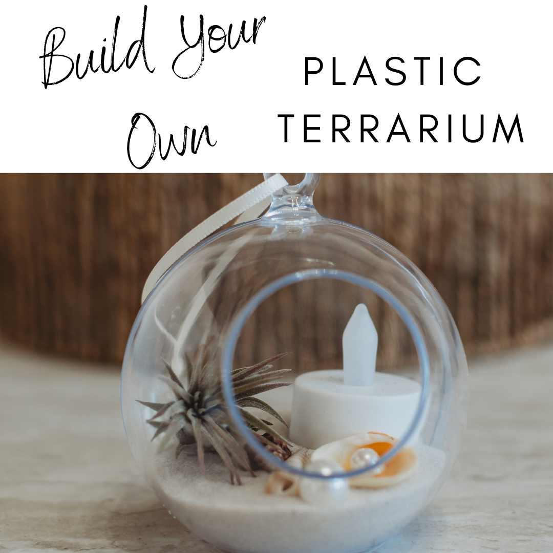 Plastic Build Your Own Terrarium Kit | Do It Yourself Air Plant Small Globe Terrarium | Customizable Plant Decor