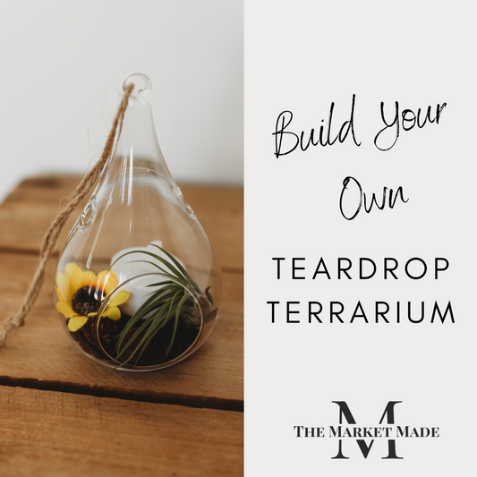 Teardrop Build Your Own Terrarium Kit | Do It Yourself Air Plant Glass Teardrop Terrarium | Customizable Plant Decor