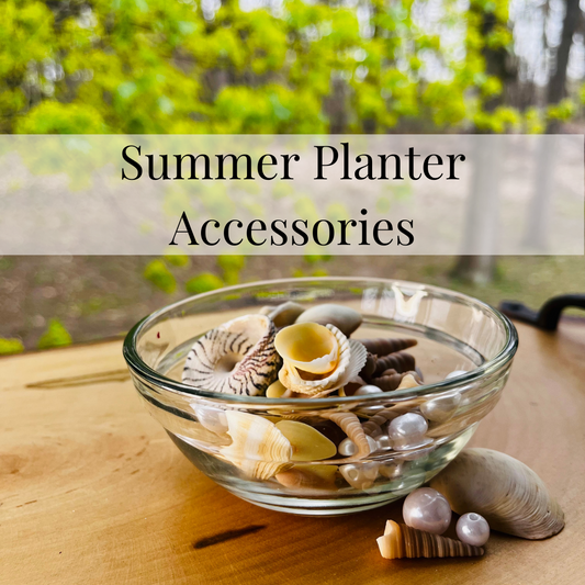 Terrarium Summer Accessories Package | Planter Accessories | Build Your Own & Air Plant | Customize Your Air Plant Terrarium