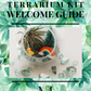 Build Your Own Terrarium Kit Welcome Guide Digital Download