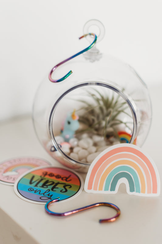 Rainbow-Themed Decor | Pride Build Your Own Terrarium Kit | Do It Yourself Air Plant Terrarium