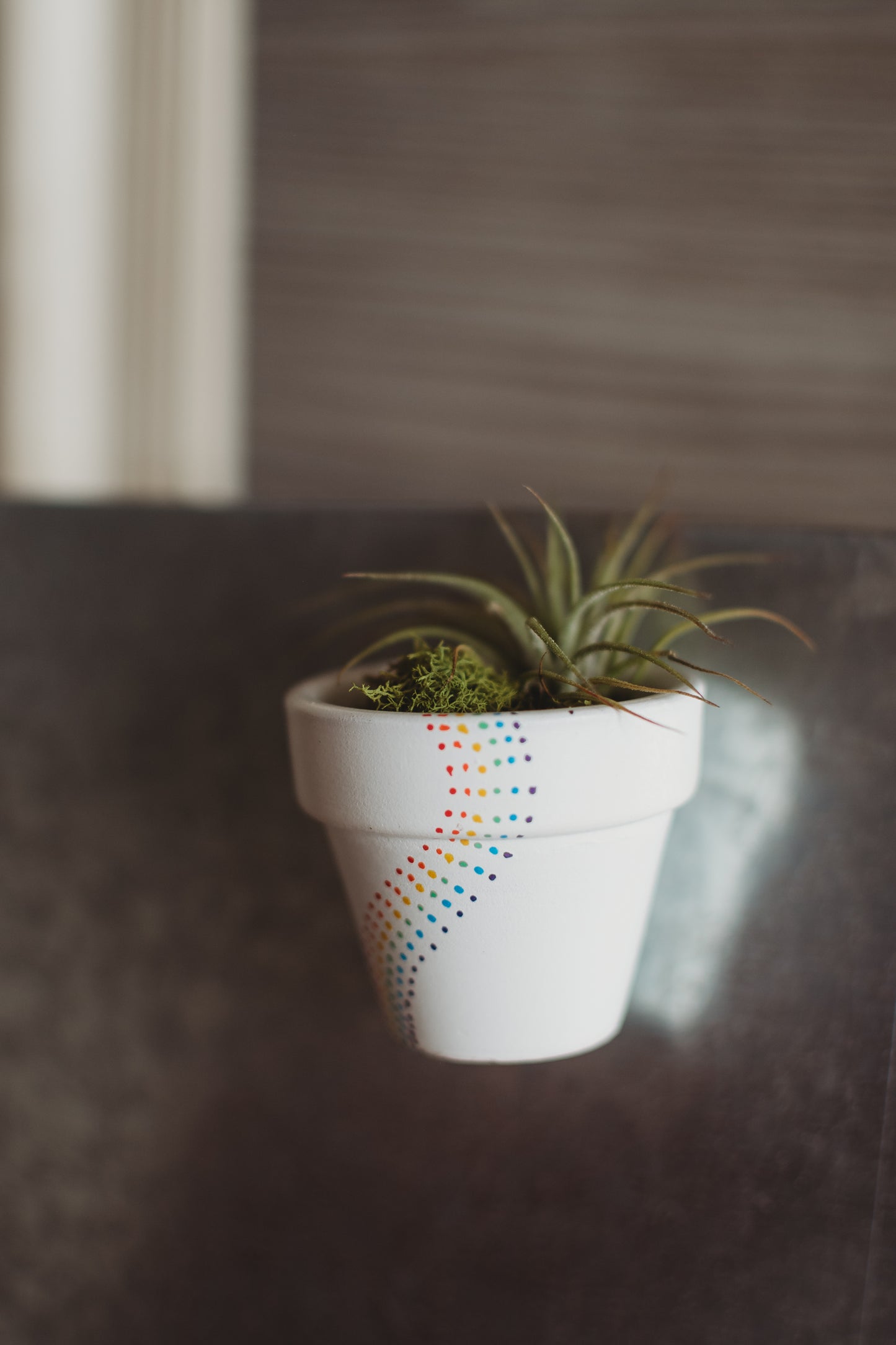 Pride Hand-Painted Mini Pot Magnets | Mini Air Plant Magnets | Rainbow Refrigerator Magnets