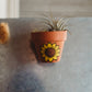 Hand-Painted Floral Mini Pot Magnets | Spring and Summer Mini Air Plant Magnets | Plant Refrigerator Magnets
