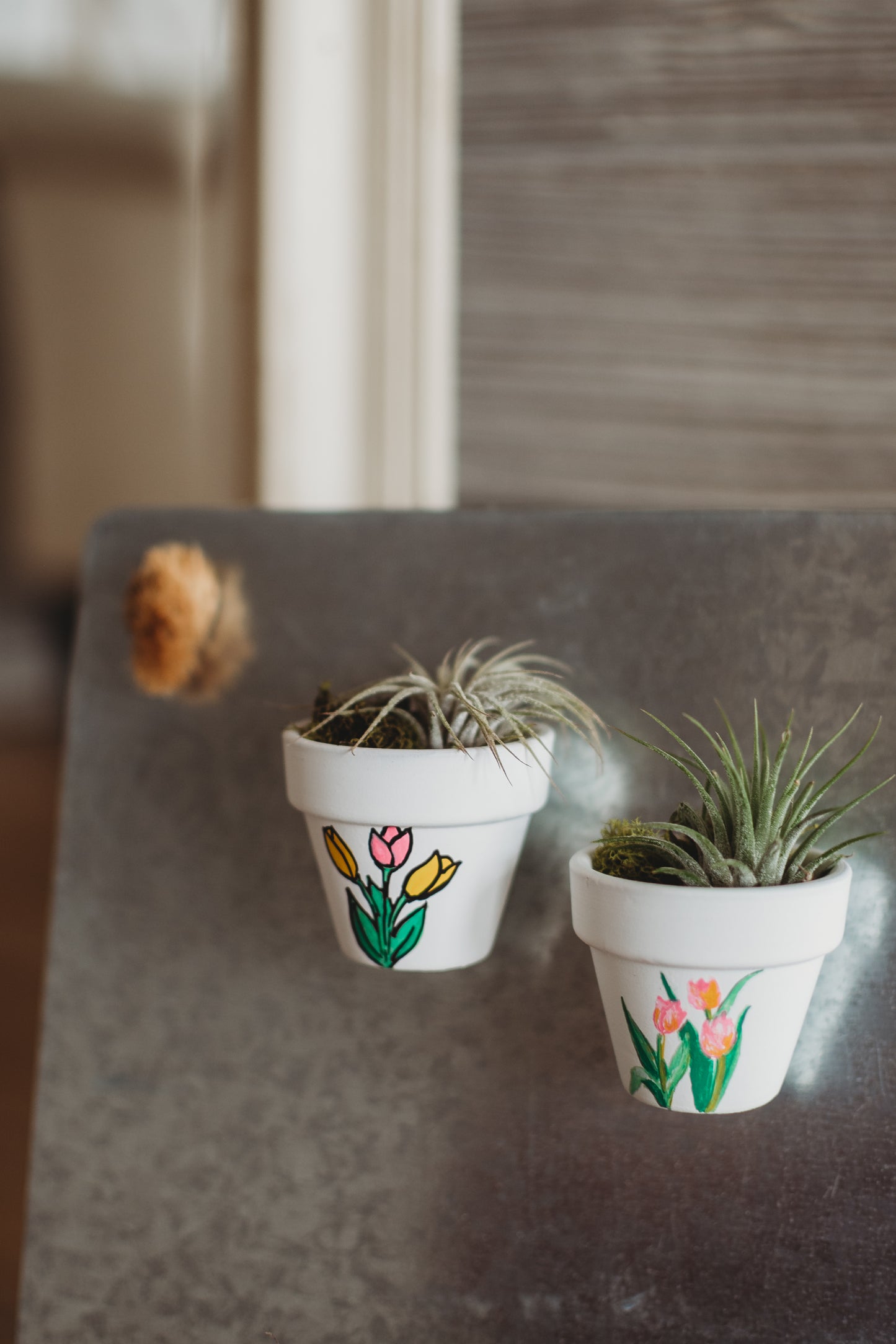 Hand-Painted Floral Mini Pot Magnets | Spring and Summer Mini Air Plant Magnets | Plant Refrigerator Magnets