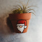 Holiday Hand-Painted Mini Pot Magnets | Mini Christmas Plant Magnets | Plant Refrigerator Magnets