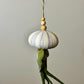 Hanging Urchin Shell with Air Plant | Jellyfish Air Plant | Floating Octopus