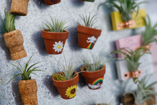 Pride Hand-Painted Mini Pot Magnets | Mini Air Plant Magnets | Rainbow Refrigerator Magnets
