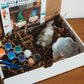 Paint Your Own Decor Kit | Paint Your Own Gnome Activity Set | Paint Your Own Handmade Concrete Gift Set
