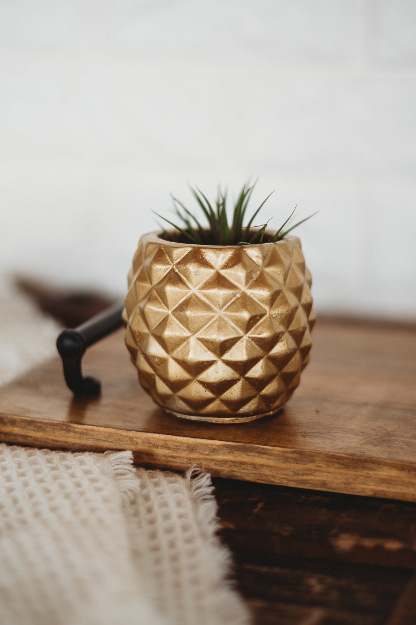 Handmade Pineapple Decor | Pineapple Concrete Container | Pineapple Planter
